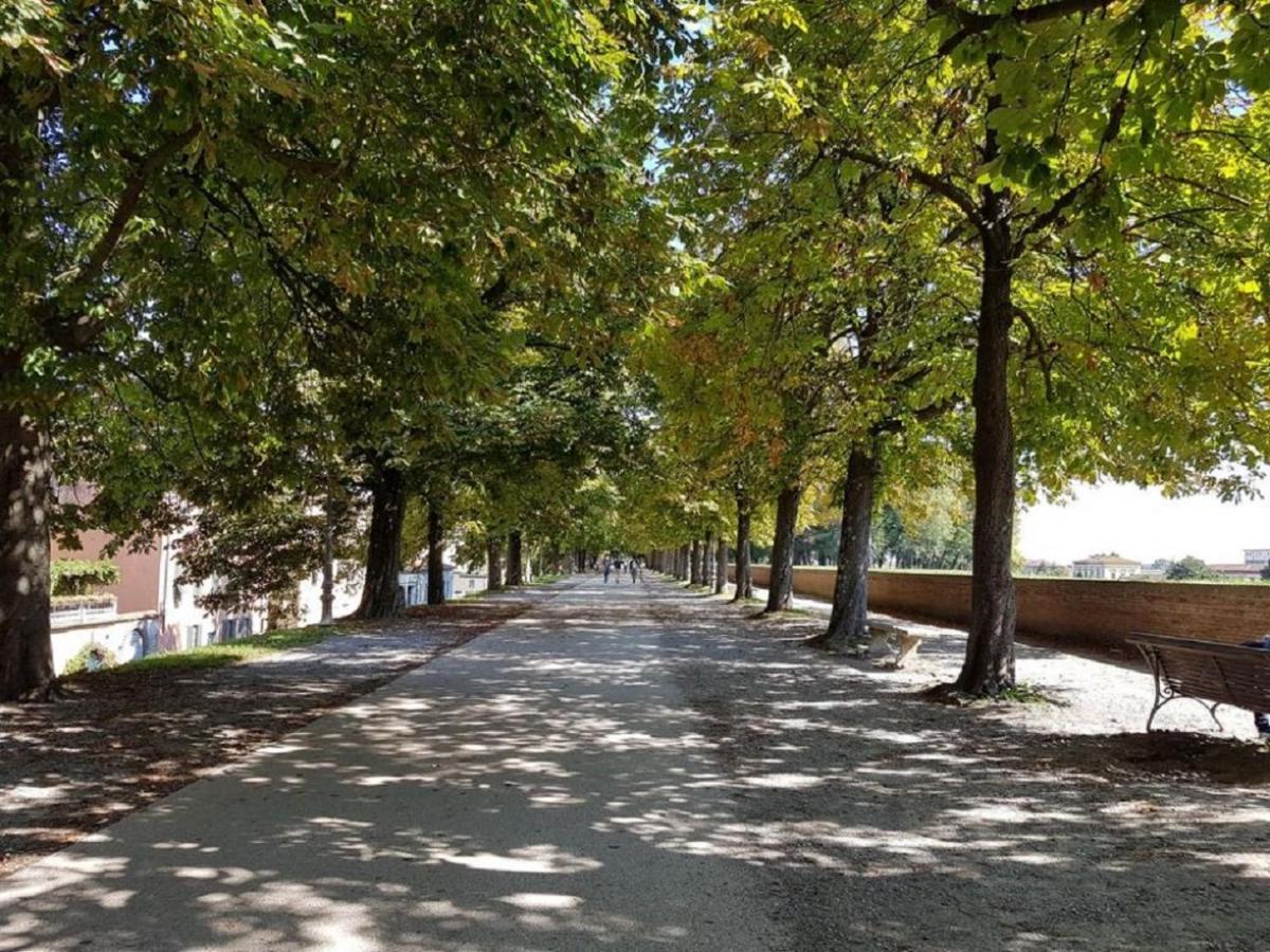 Cozybricks In - In Historical Center - Air Cond & Wifi - Lucca